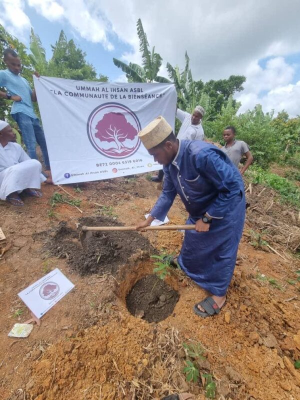 Plantation d'arbre fruitier – Image 2
